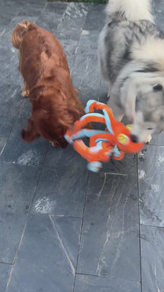 QMonster Big Octopus Squeaking Toy | Shortie Friends