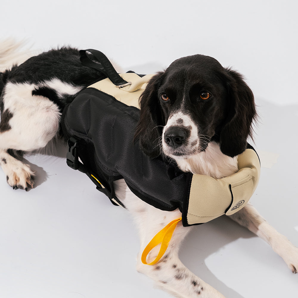 TAILHIGH Inflatable Dog Wetsuit Galapagos Green Shortie Friends